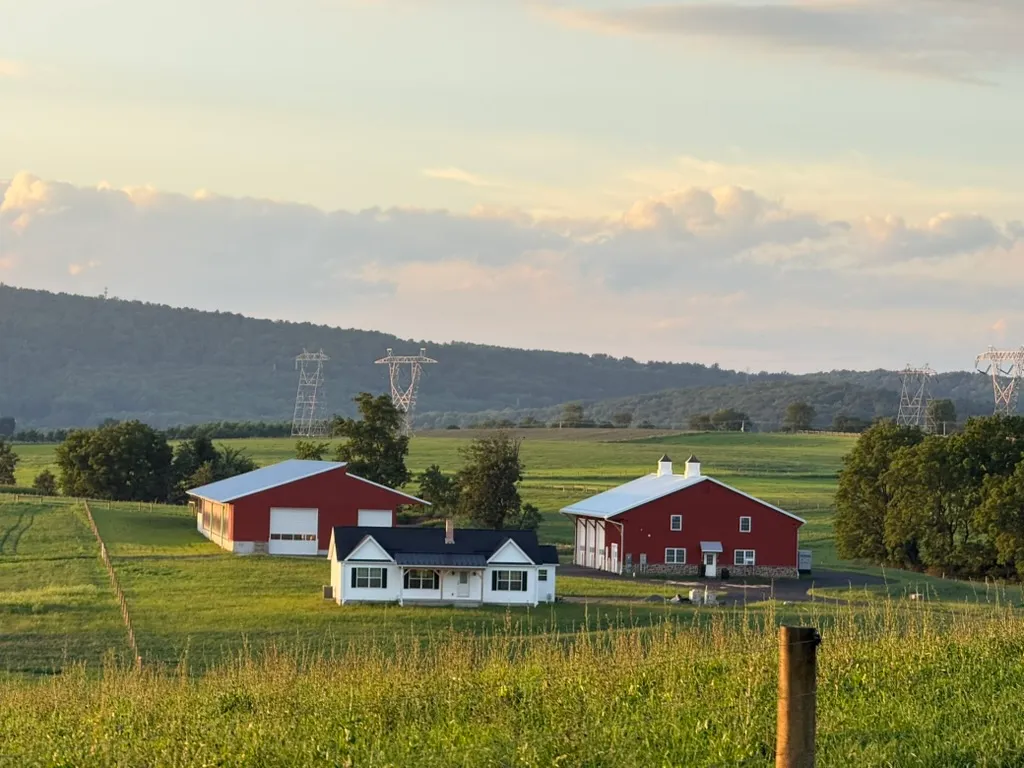 Two red barns and a white farmhouse in rolling green fields at golden hour, with wooded hills and power-line towers behind.